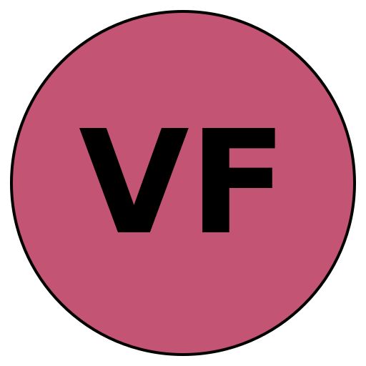 VisionFit